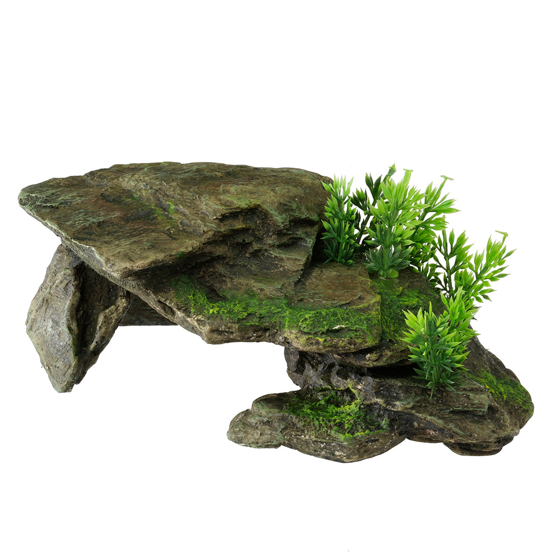 Terra della - Deco Stone with Plants