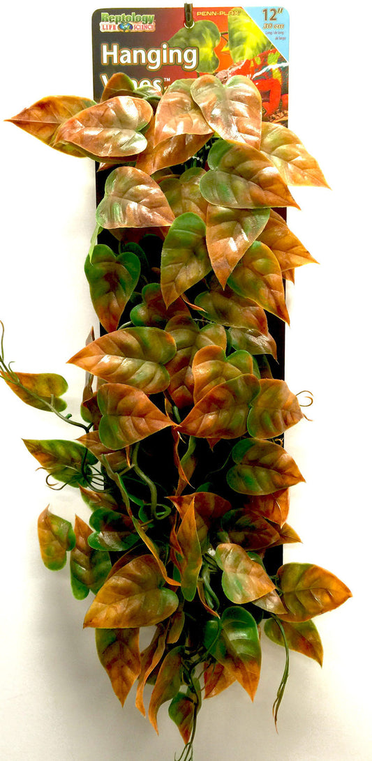 Penn Plax - Reptile Vine Groen/Bruin 30cm