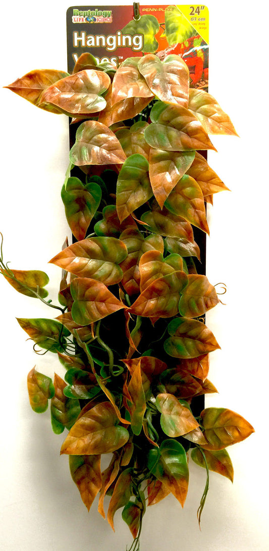 Penn Plax - Reptile Vine Groen/Bruin 61cm