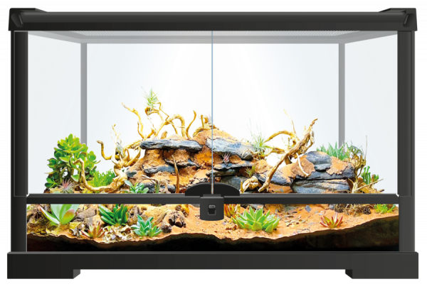 Repto - Terra Earth 51x25x30