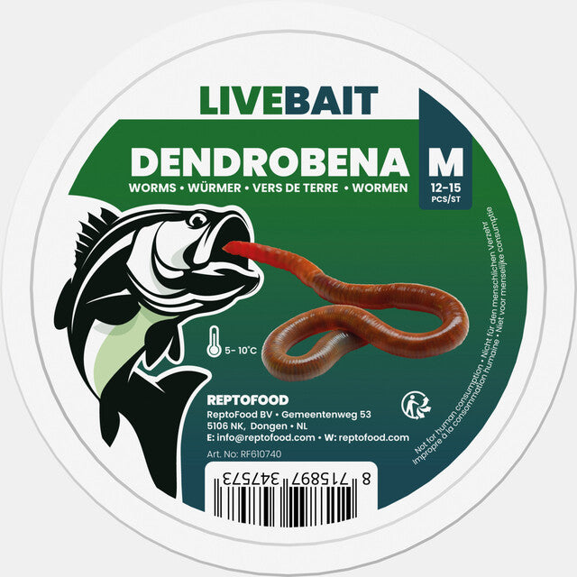 Dendrobena