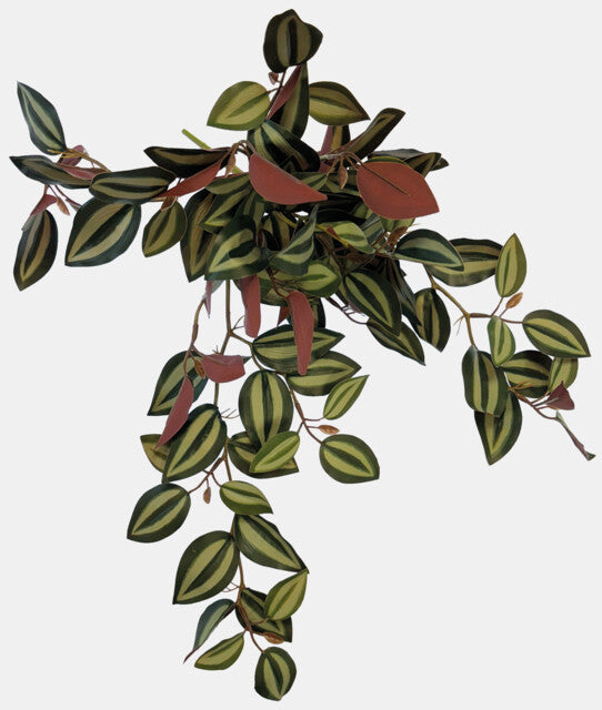 Repto - Plant Hanging Red Back