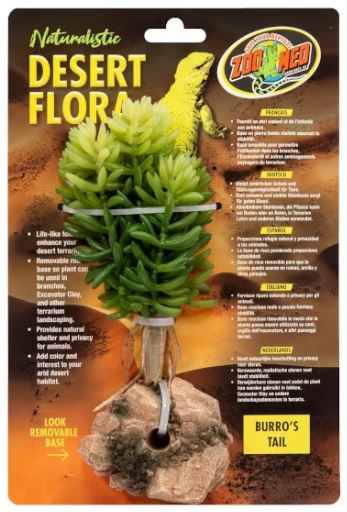 Zoo Med - Burro's Tail 11cm