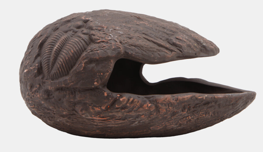 Repto - Deco Cocoon Brown L