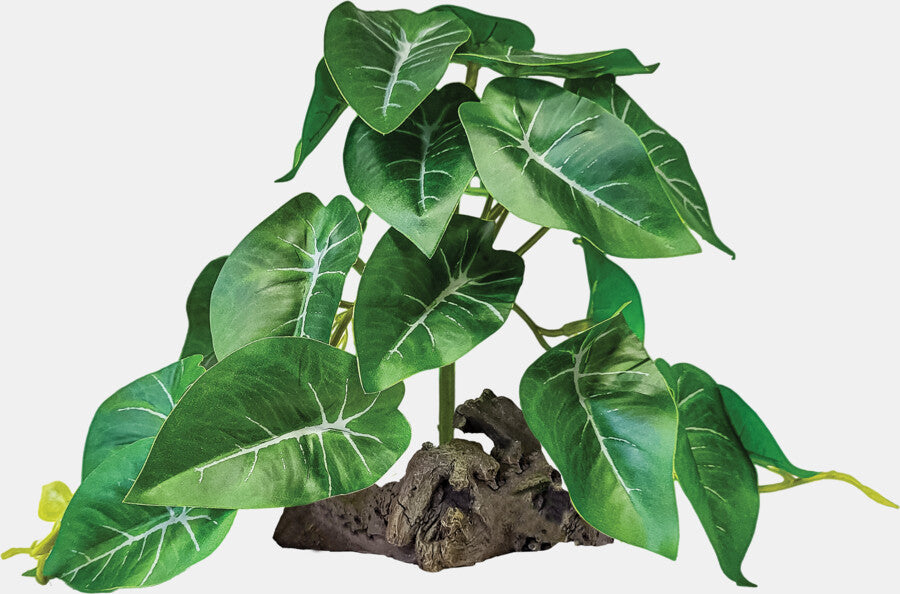 Repto - Plant on Deco Elephant Green