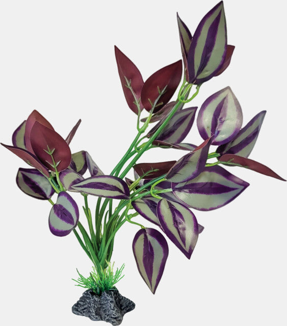 Repto - Plant Standing Purple Leaves
