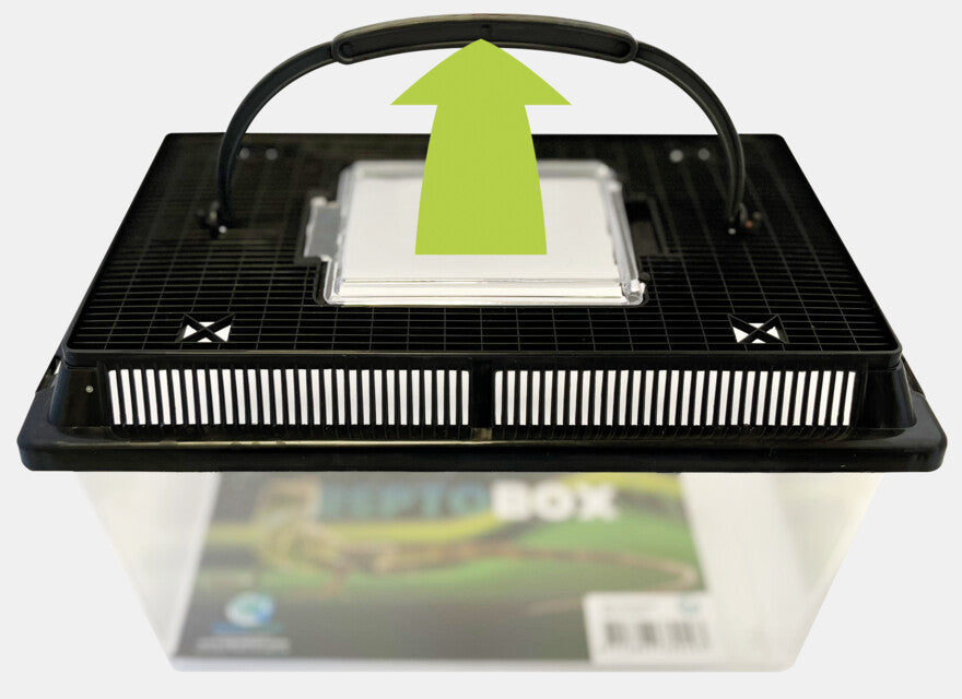 Repto - Box 27 x 17 x 16cm