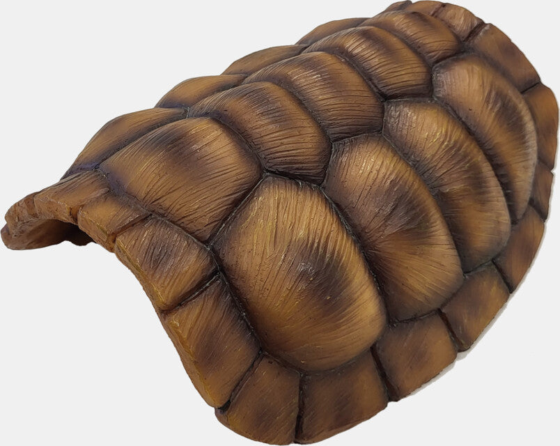 Repto - Deco Tortoise M