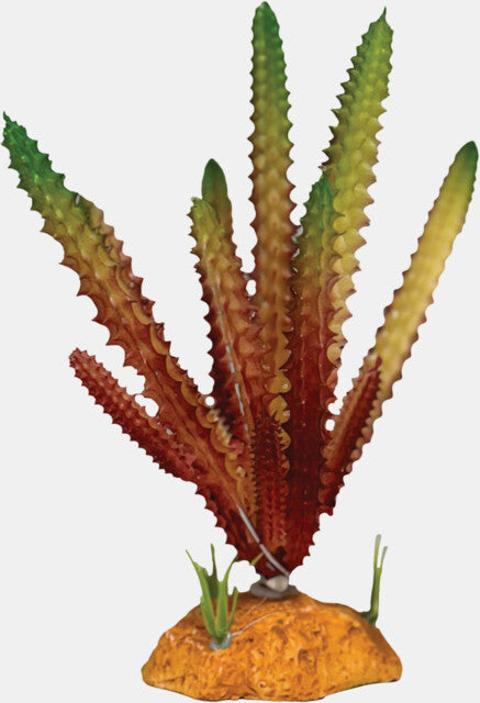 Repto - Plant Cactus Needle Red