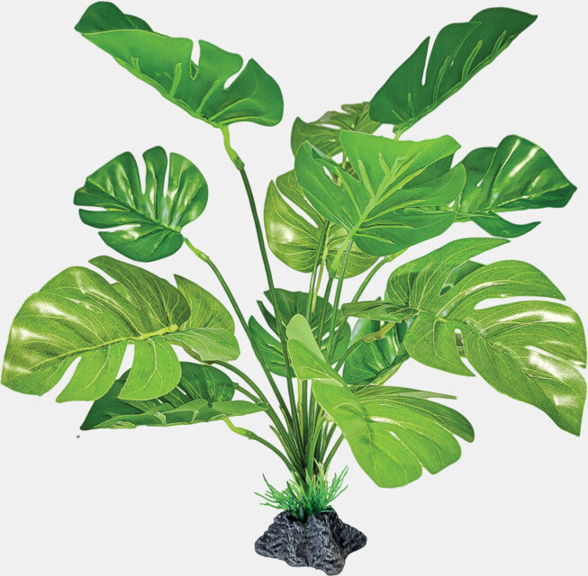 Repto - Plant Standing Monstera