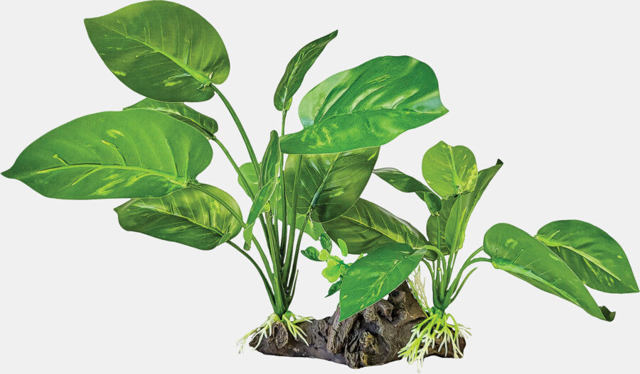 Repto - Plant on Deco Dark Green