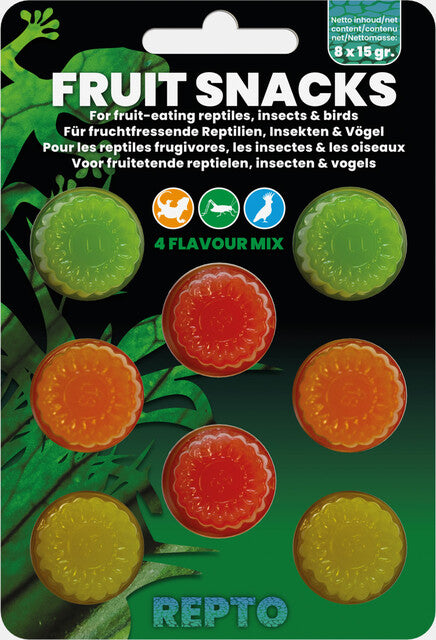 Repto - Fruit Snack Mix