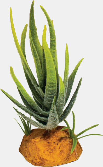 Repto - Plant Aloe Green