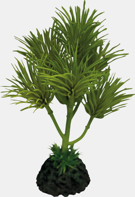 Repto - Plant Cactus Palm