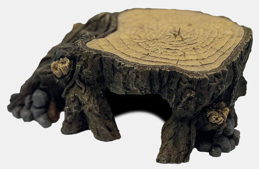 Repto - Deco Trunk M