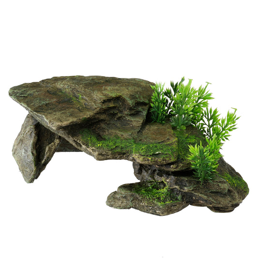 Terra della - Deco Stone with Plants