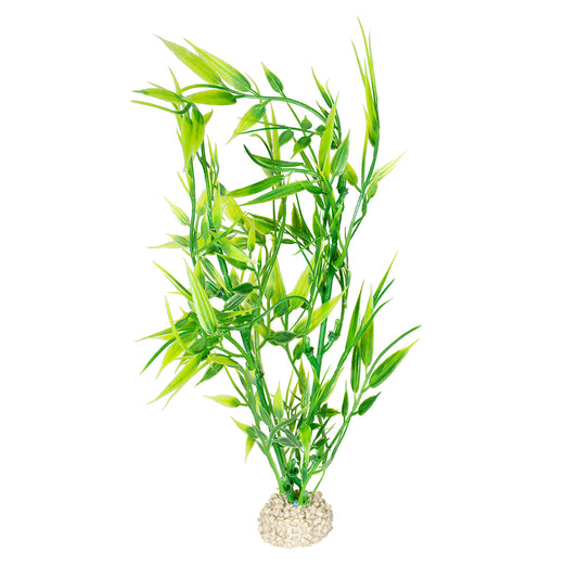 Terra della - Plant Bamboo Groen