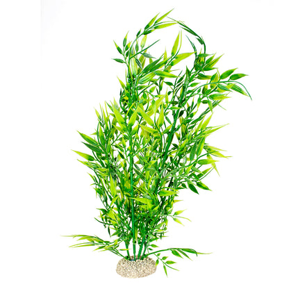 Terra della - Plant Bamboo Groen