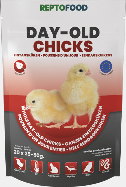 Reptofood - Day-old Chicks