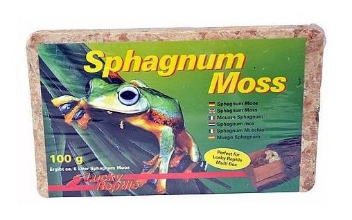 Lucky Reptile - Sphagnum Moss