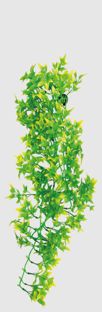 Repto - Plant Green 70cm