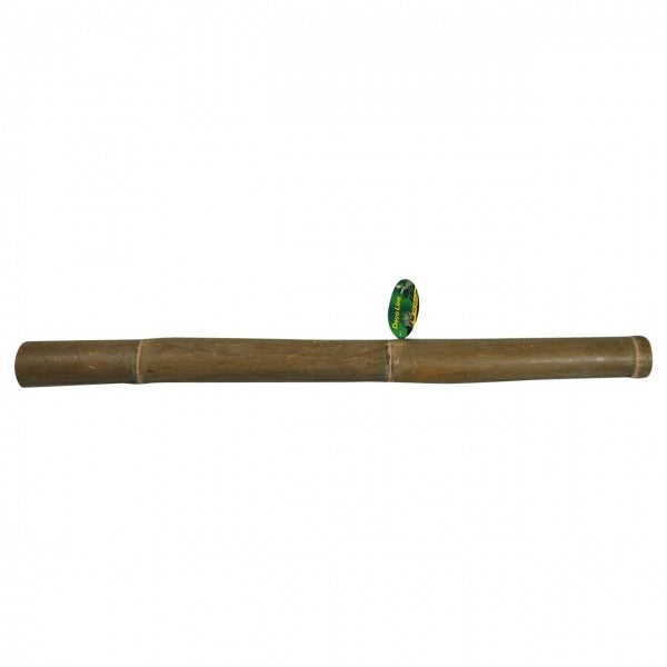 Lucky Reptile - Bamboo Stick 1M