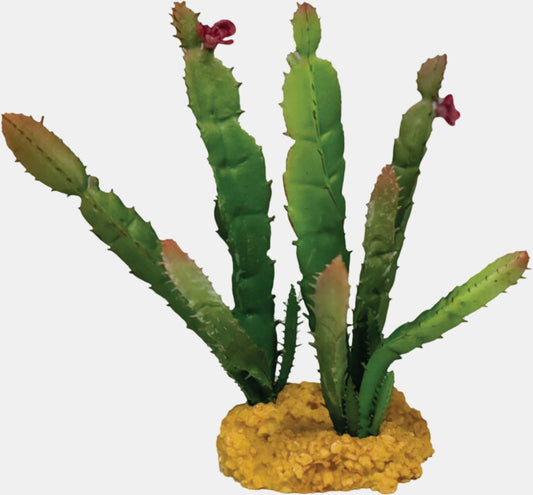 Repto - Plant Cactus Needle Red tip