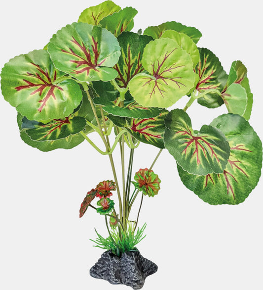 Repto - Plant Standing Round Leaves