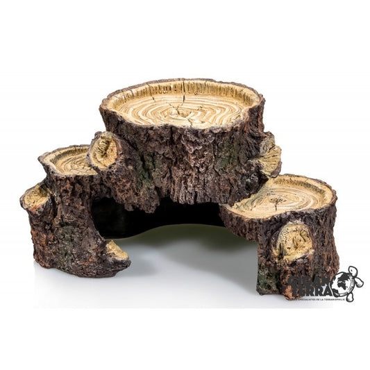 Giganterra - Tree trunk platform L