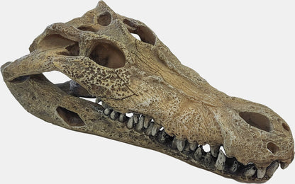 Repto - Deco Crocodile L