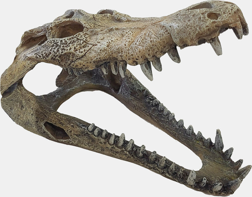 Repto - Deco Crocodile L