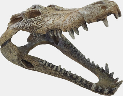 Repto - Deco Crocodile L