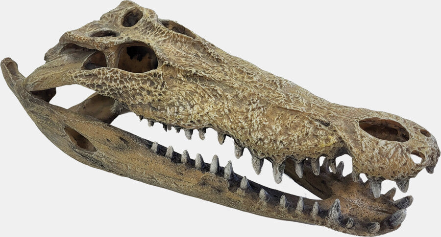 Repto - Deco Crocodile XXL