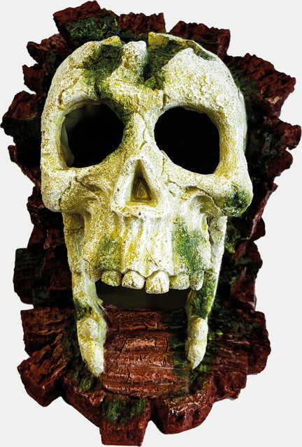 Repto - Deco Gorrila Skull