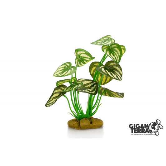 Giganterra - Standing Plant 1