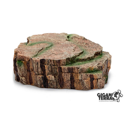 Giganterra - Grot Forest L