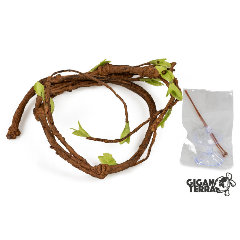 Giganterra - Liaan met Blad