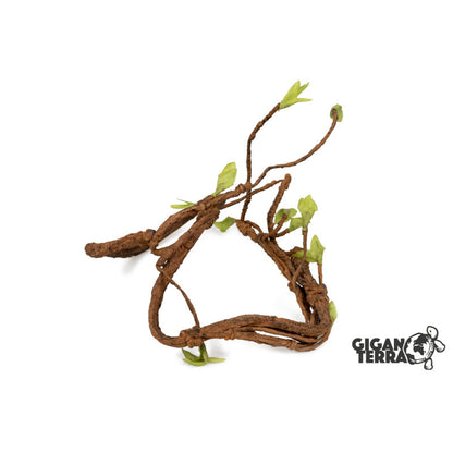 Giganterra - Liaan met Blad