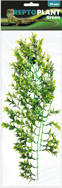 Repto - Plant Green/Yellow 70cm