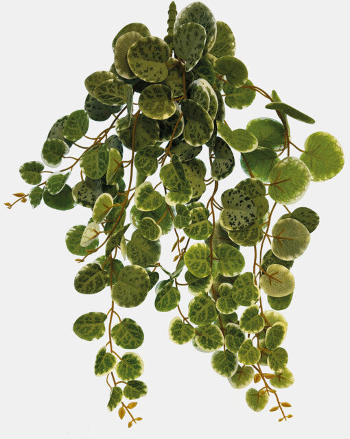 Repto - Plant Hanging Round Leaves 46cm