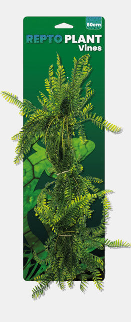 Repto - Plant Vines Green Asparagus 60CM