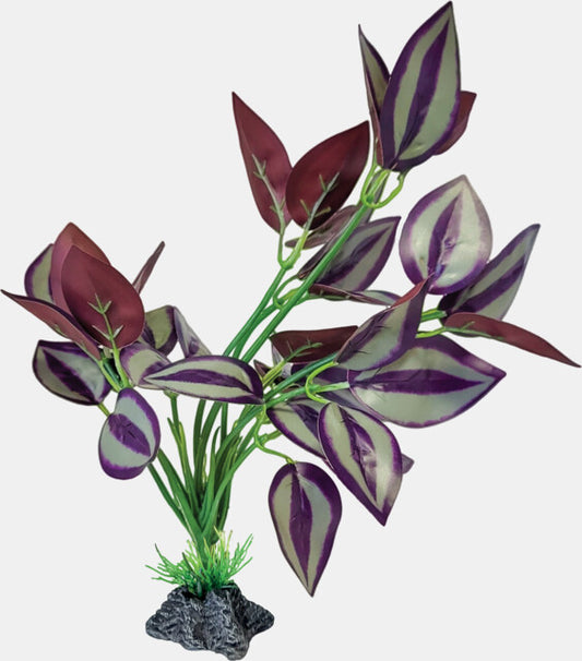 Repto - Plant Standing Purple Leaves