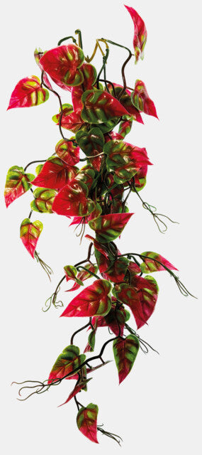 Repto - Plant Vines Pink/Green Syngonium 60CM