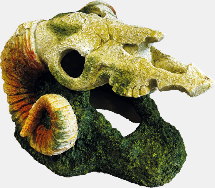 Repto - Deco Goat Skull