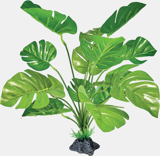 Repto - Plant Standing Monstera