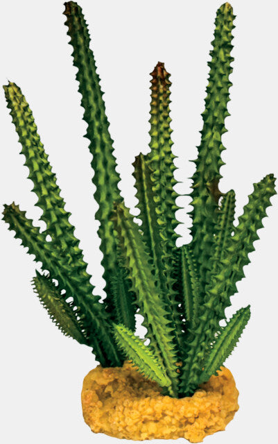 Repto - Plant Cactus Needle Green