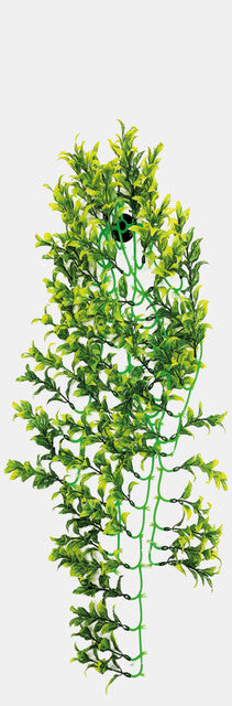 Repto - Plant Green/Yellow 70cm