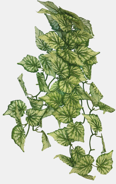 Repto - Plant Hanging Hedera 46cm