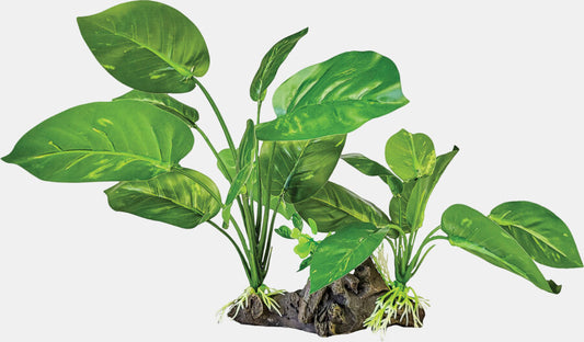 Repto - Plant on Deco Dark Green