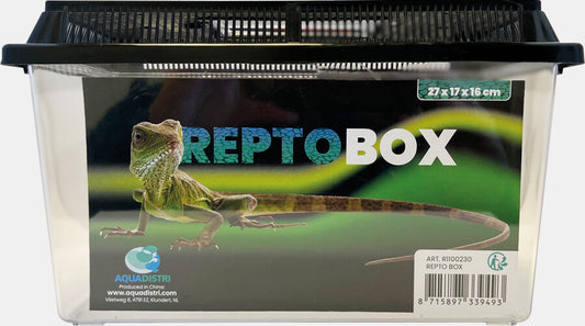 Repto - Box 27 x 17 x 16cm